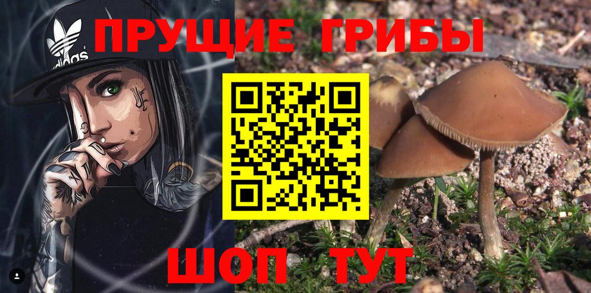 Псилоцибиновые грибы мухоморы Менделеевск